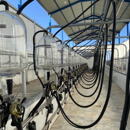 شستشوی دستگاه پس از دوشش