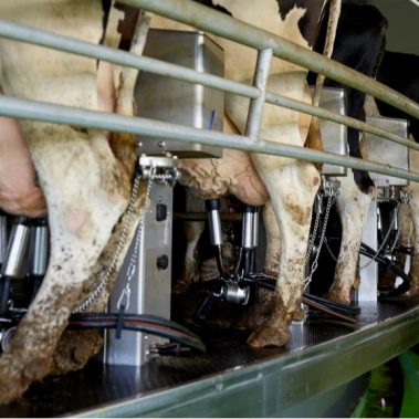 شستشوی دستگاه پس از دوشش